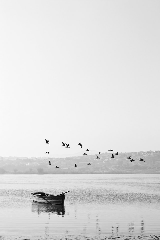 esteban-amaro-hy8y0Wp_Lp0-unsplash esteban-amaro-hy8y0Wp_Lp0-unsplash